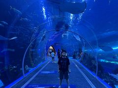 -成都浩海立方海洋公园