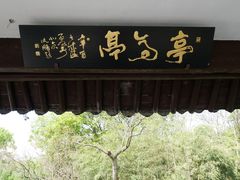 -西湖游船