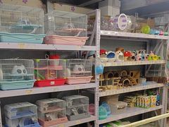 -钓仓鼠(洋桥北里小区店)