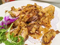 脆皮肘子-新侨小馆(东直门北小街店)