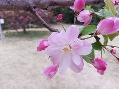 -国家植物园