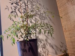 -十二舍·湯物素煮(江泰潤政店)