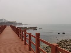 -养马岛旅游度假区