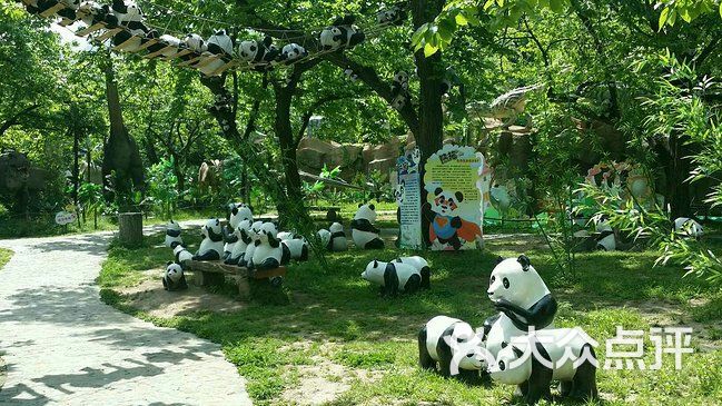 西安秦嶺野生動物園圖片 - 第1張