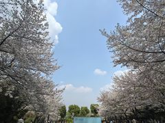 -堤角公园
