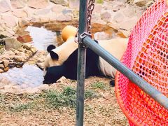 -天目湖御水温泉·度假酒店