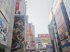 -Animate(秋叶原本馆)