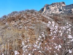 -北京密云天门山风景区