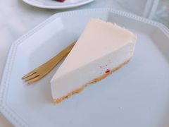 芝士蛋糕-有猫主题·治愈系猫咖(曾厝垵店)