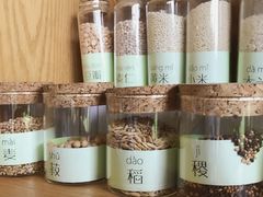 -前小桔亲子创意农场·草莓采摘·露营烧烤