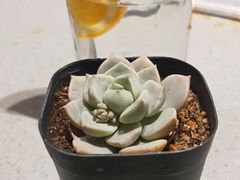 -海底捞火锅(邯郸新世纪中心店)