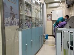 -北京观赏动物医院·24小时大型综合·猫专科·异宠专科