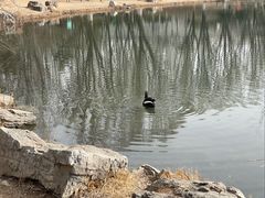 -河北省园博园