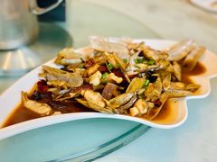 蛏子-华盛丰温州大排档(东三环南路店)