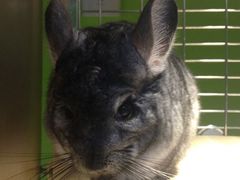 -龙猫仔乐园(惠福东路店)