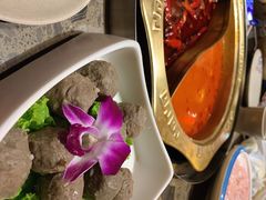 -小龙坎火锅(香港中路店)
