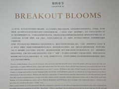 -德基艺术博物馆