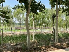 -西青郊野公园