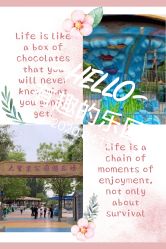 -大望京儿童游乐场