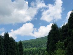 -武陵山森林公园