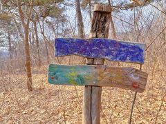 -北京西山国家森林公园