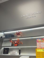 -崇尚GAVIN STYLE臻选