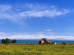 -青海湖国家重点风景名胜区