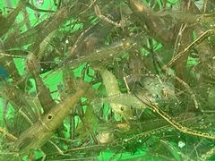 -沙头涌渔栏海鲜餐厅