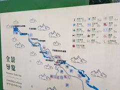 -莫里热带雨林景区