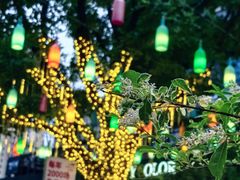 -春树下·树屋花房西餐厅(罍街AS1980店)