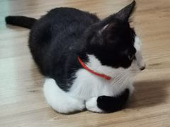 -联合动物医院(光谷诊疗中心)