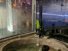 -Yolo私汤温泉设计师酒店(重庆南滨路店)