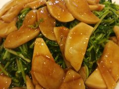 豆苗杏鲍菇-洪长兴(广西北路店)