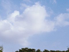 -东寨港红树林旅游区