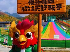 -吉林市朱雀山国家森林公园