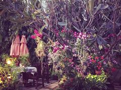 iphone_upload_pic-Dash Teak House
