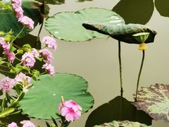 -揭东万竹园旅游景区