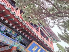 -蓬莱阁景区
