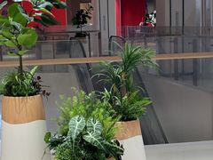 -德兴show鲜·蒸汽海鲜火锅餐厅(格创悦里店)