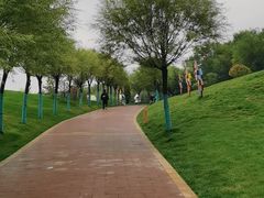-青藏高原野生动物园