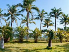 -大梅沙海滨公园