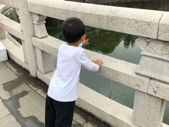 -白马涧龙池景区