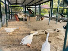 -青岛鑫江温德姆酒店