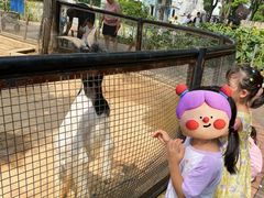 -石家庄市动物园