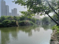 -汉水公园