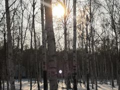 -长春市南湖公园