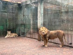 -攀枝花公园