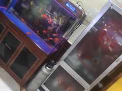 -福缘烤肉王自助(爱琴海-原比尔森店)
