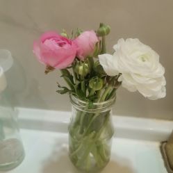 -郡艺医疗美容·微整·眼鼻吸脂