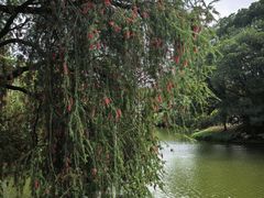 -人民公园(罗湖区)